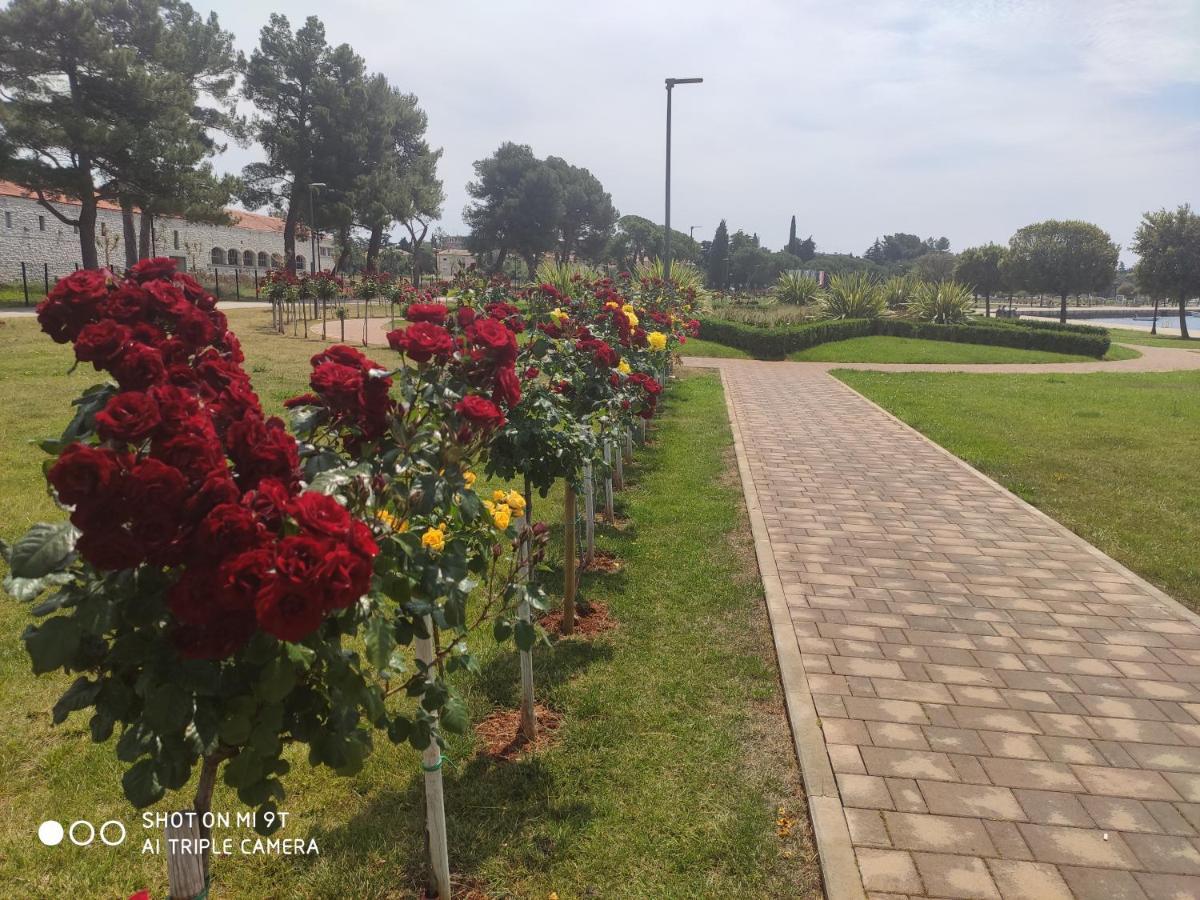 Apartamento Bluemarine Umag Exterior foto